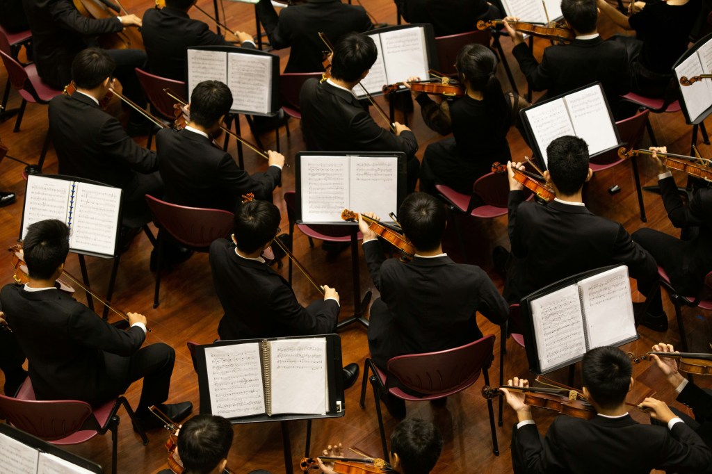 aerial shot of part of the orchestra